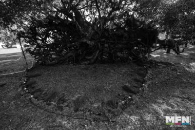 - David Lee / Gypsyshooter