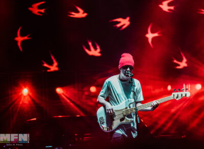 Photo by John Ferreira