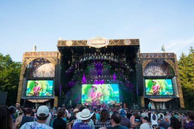 SCI - Electric Forest - Photo credit: Filip Zalewski