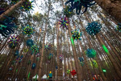 Electric Forest - Photo credit: Filip Zalewski