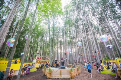 Electric Forest - Photo credit: Filip Zalewski