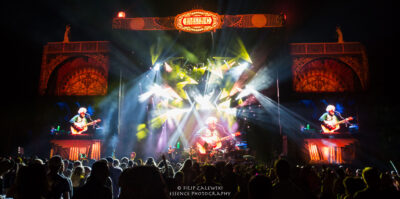 Electric Forest - Photo credit: Filip Zalewski