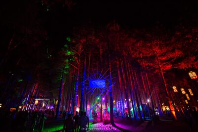 Electric Forest - Photo credit: Filip Zalewski