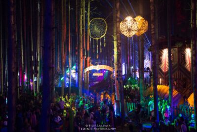 Electric Forest - Photo credit: Filip Zalewski