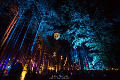 Electric Forest - Photo credit: Filip Zalewski
