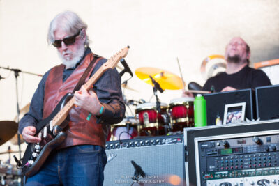 SCI - Electric Forest - Photo credit: Filip Zalewski
