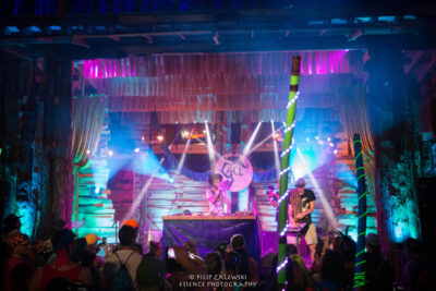 Honeycomb - Electric Forest - Photo credit: Filip Zalewski