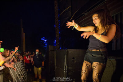 Electric Forest - Photo credit: Filip Zalewski