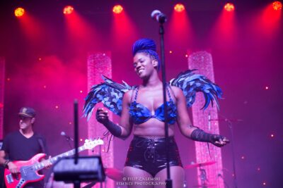 Doom Flamingo - Electric Forest - Photo credit: Filip Zalewski