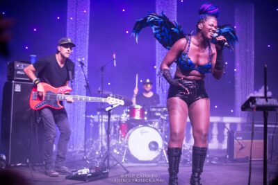 Doom Flamingo - Electric Forest - Photo credit: Filip Zalewski