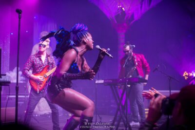 Doom Flamingo - Electric Forest - Photo credit: Filip Zalewski