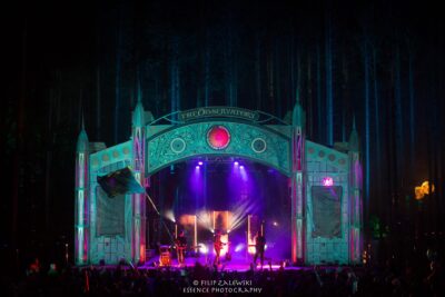 Electric Forest - Photo credit: Filip Zalewski