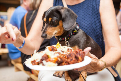 OktoBEERfest dogs - Nymania Productions