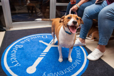 OktoBEERfest dogs - Nymania Productions