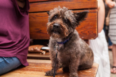 OktoBEERfest dogs - Nymania Productions