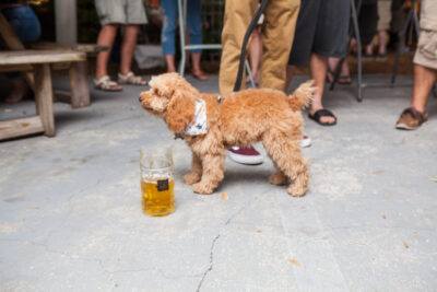 OktoBEERfest dogs - Nymania Productions