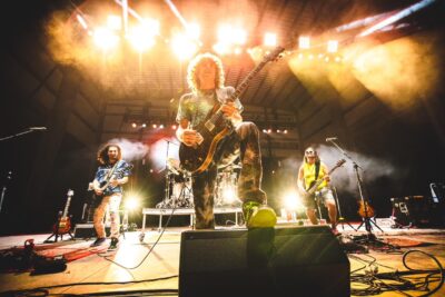 Pigeons Playing Ping Pong. 📷: Kendall McCargo Photography