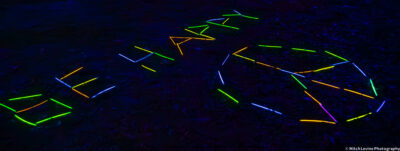 Sunshine Get Down '24. 📸: Mitch Levine Photography