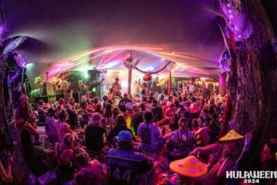 Bingo - Suwannee Hulaween '24. 📸: Zach Smith