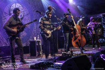 Kitchen Dwellers ๐ธ: David Lee