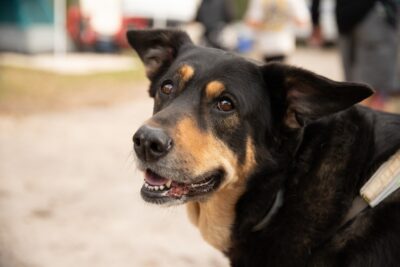 Whippersnap 2025. ๐ธ: Funk Eye Media