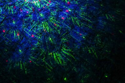 Resonate Suwannee '25. 📸: Hunter Nicole Bryant