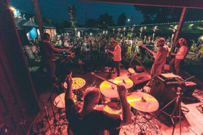 Houseplant. 📸: Drake Whitney