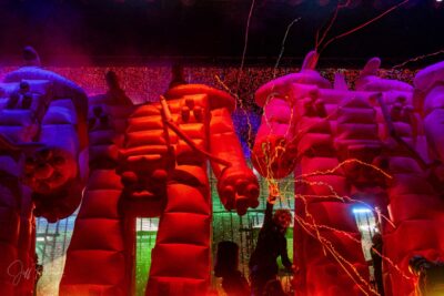 The Flaming Lips - Mempho '25. 📷: Jeff Fernandez