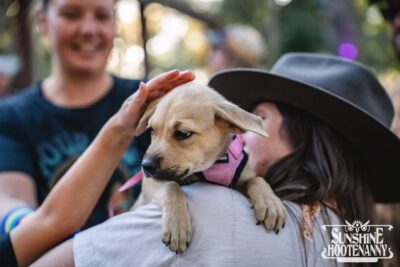 Sunshine Hootenanny '25. ๐ธ: Brier Media Event Photography