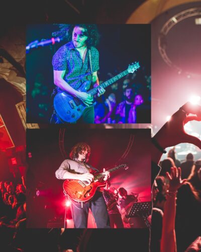 Pigeons Playing Ping Pong. 📸: Cbvideomarketing