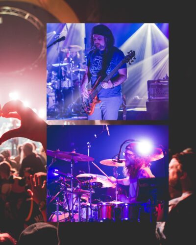 Pigeons Playing Ping Pong. 📸: Cbvideomarketing